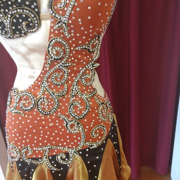 Professional Latin Dress - Picture 6 of 6